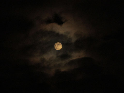 Symbol der Nacht - der Mond.