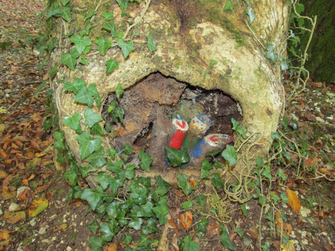 ZWERGLEIN in Baumhöhle, Dittingen/BL