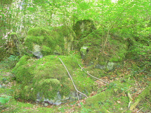 Feisternau - Dittingen/BL