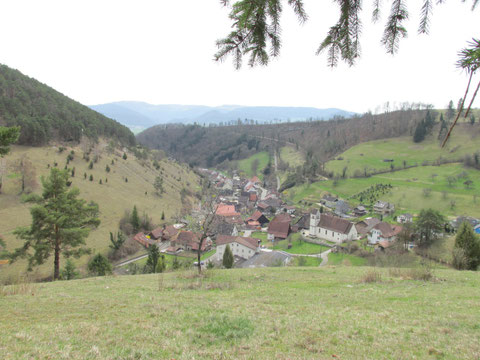 ....... 'Wurzel-Ort' und 'Wurzel-Kräfte'.