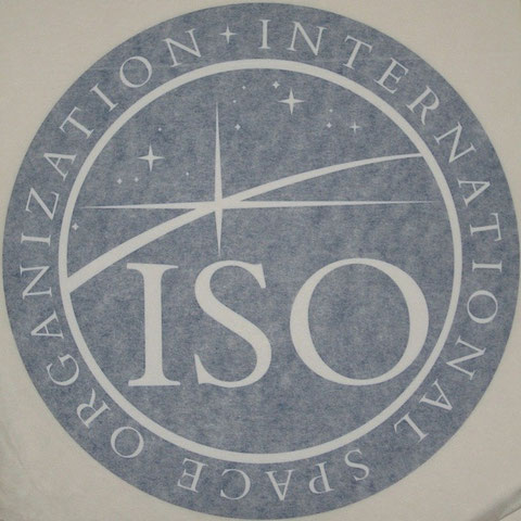 7 inch large ISO window decal
