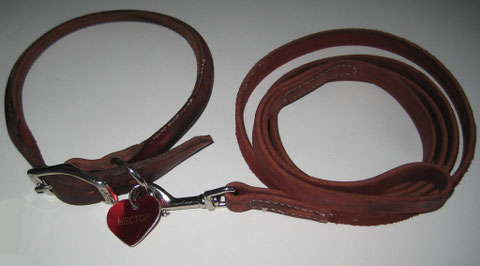 Large Collar & Leash with used Medal