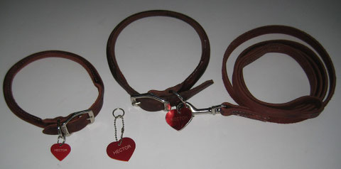 Hector Collars, Medals & Leash