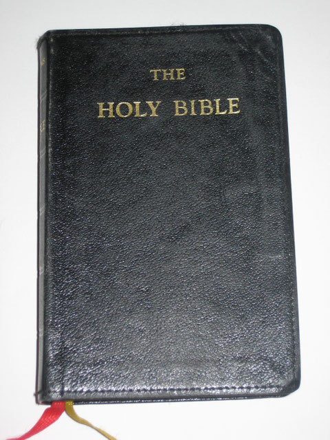 Paula's Antares Holy Bible