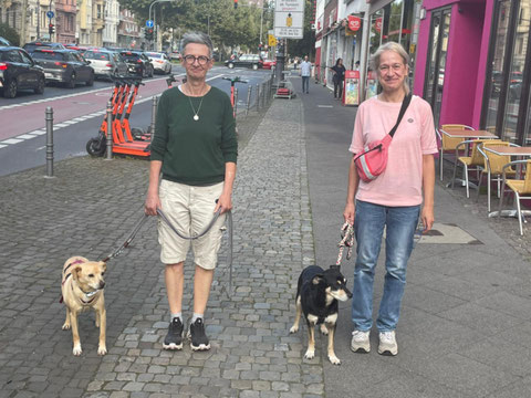 Wunder geschehen! Nach 9 langen Jahren im Tierheim wird Kodi (links, nun Tobi) von Friedel (Frost) in Köln an die Pfote genommen.