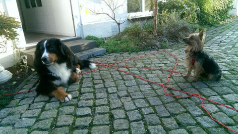 Lola fand in Bottrop eine große Schwester.