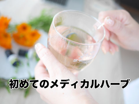 基本の15種類のハーブを学ぶ、３回コース