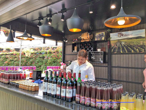 バッタンバン、ブドウワインお店