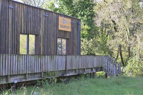 L'Aquaforum,  maison passive, construite sur  pilotis poour se  préserver des inondations.(photo D. Sherwin-White)