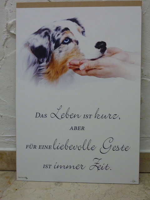 Foto: Oetken
