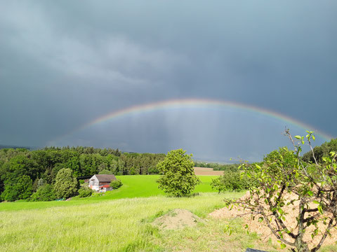 Ferienwohnung Reisinger & Fam. Weber Regenbogen