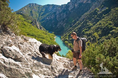 Südfrankreich und Urlaub mit Hund