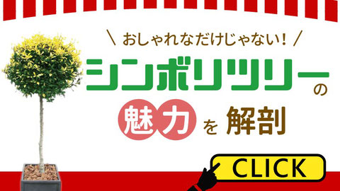 おしゃれなだけじゃない！　シンボリツリーの魅力を解剖