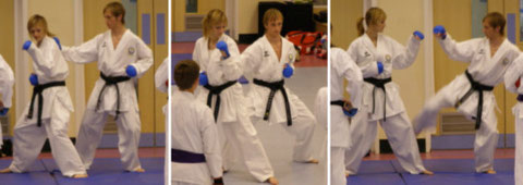 Robbie and Sammi in action, demonstrating at the 16th May 2008 Kumite Course.