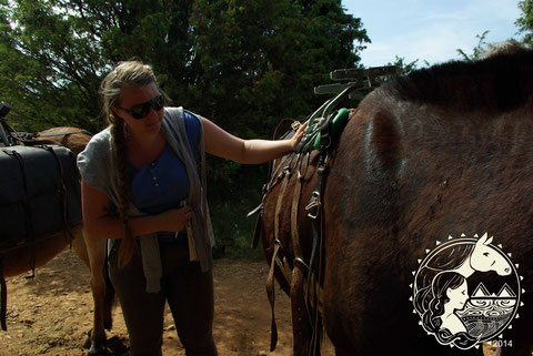 Vérification de l'harnachement - Checking the saddle straps