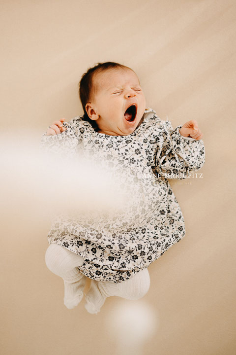 photographe bebe domicile Alsace Moselle