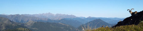 Le bouquetin et le Mont Valier, septembre 2022.