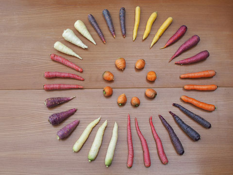 11 Sorten Karotten
