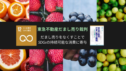 林田力『東急不動産だまし売り裁判 こうして勝った』