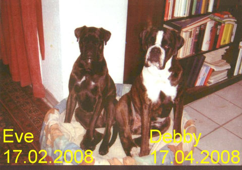 Eve und Debby von Babs, waren Geschwister und mussten durch eine erblich bedingte Nierenerkrankung, PNP, im Alter von nur knapp 4 Jahren, innerhalb von 8 Wochen, beide gehen.
