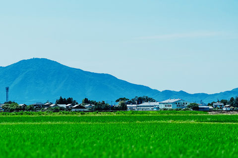 弥彦山をバックにまん中より右側の建物が私たち柴山機械の工場です。