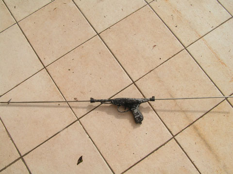 REEF RAIDER USA