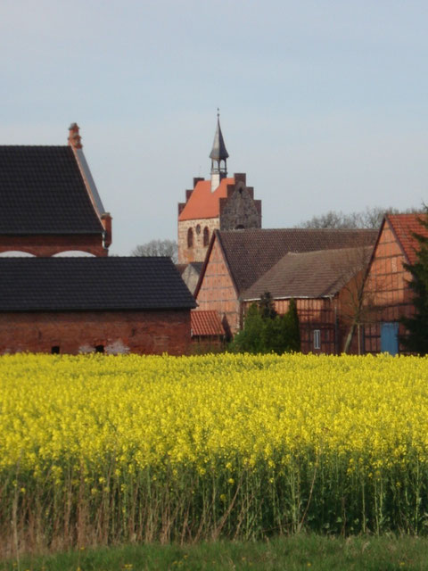 Kirche mit Rapsfeld