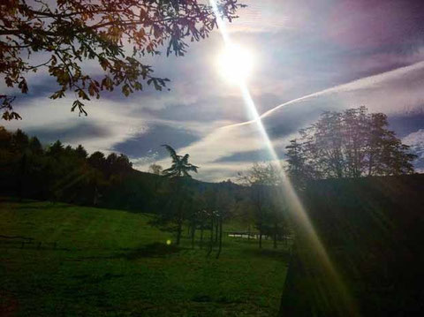 [ foto di Gianni Donnini ]