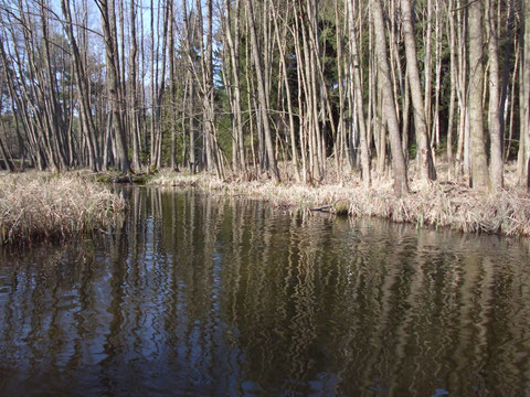 Fließstrecke zum Krapsko-Radlino-See