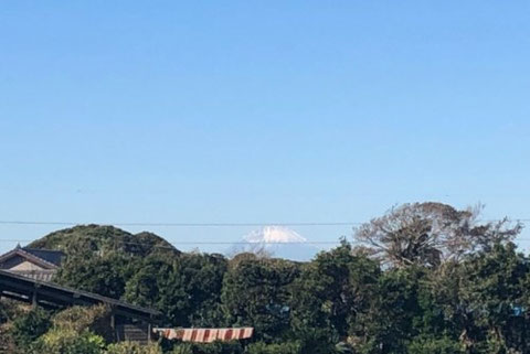 みかん園近くから見える富士山の写真