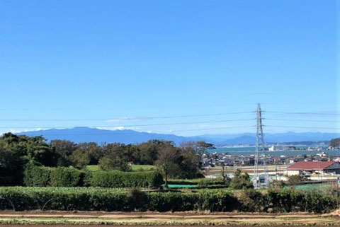 田畑越しに臨む相模湾の風景写真