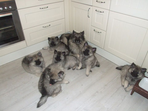 Hier bin ich mit meinem Nachwuchs zu sehen, auf den ich sehr stolz bin