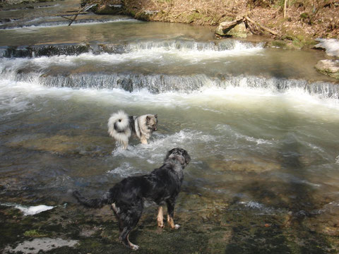 Ich liebe Wasser...aber nur bis zum Bauch :-)