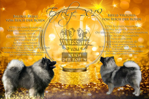 Erfolge 2019 Wolfsspitze vom Reich der Rosen