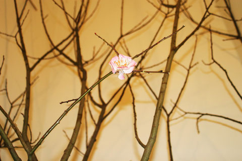 Installation Letzte Sakura ©  Nathalie Arun