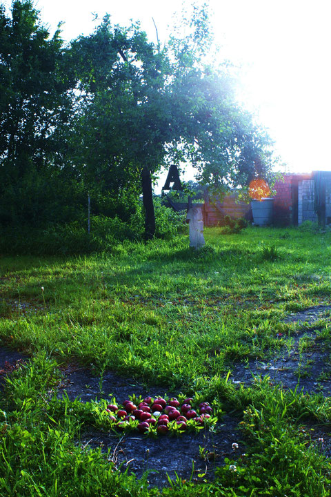 Red Apple Mandala, alle Rechte erdengoldKUNSTwerk, Foto: Nathalie Arun