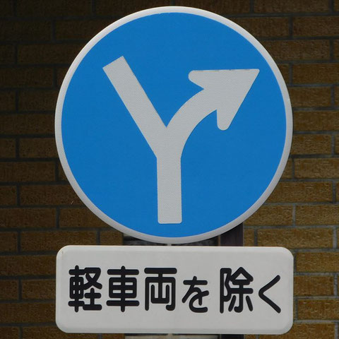異形矢印標識(指定方向外進行禁止)。静岡県西伊豆町にある。