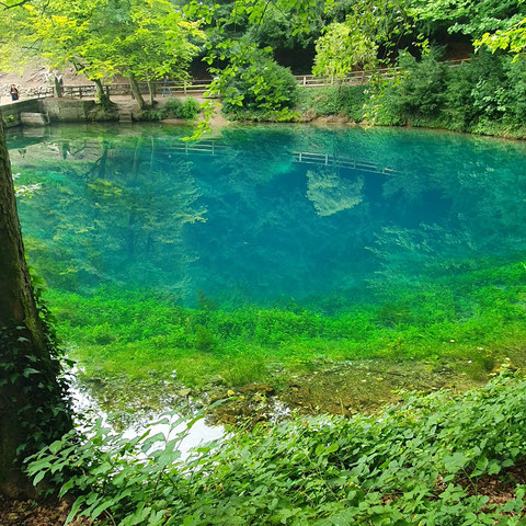 Das Bild zeigt ein tiefes und sehr klares Wasserloch.