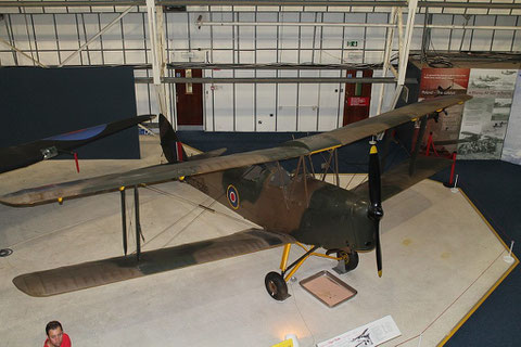 TigerMoth T6396-3