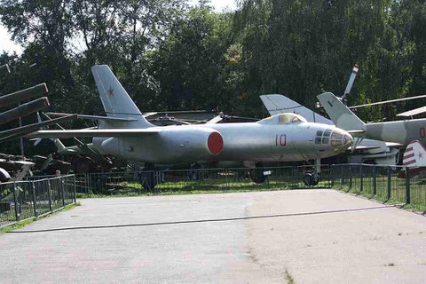 IL28 10-1