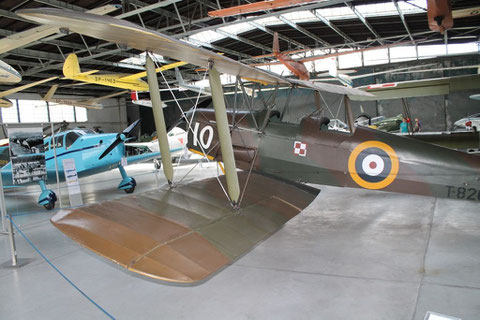 Tiger Moth T-8209-3