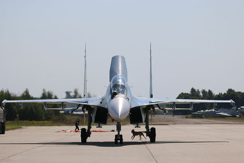 SU 30SM " 53 "  RF-81872  Воздушно-космические силы  ( ВКС ) Россия -6