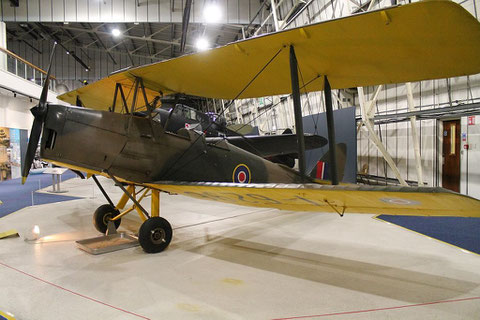 TigerMoth T6396-2