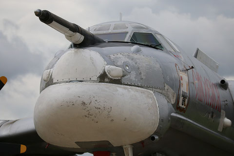 TU 95MS " 29 " RF-94178  Smolensk  Russian Air Force -5