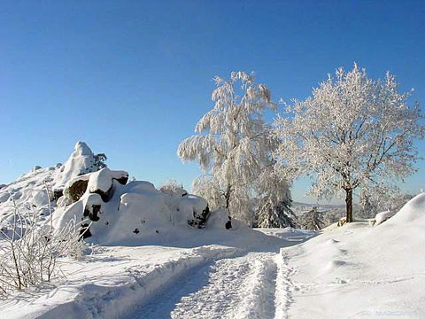 Winter im Oberpfälzer Wald