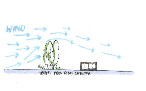 Trees provide shelter and Micro Climates Sketch by Heidi Mergl Architect