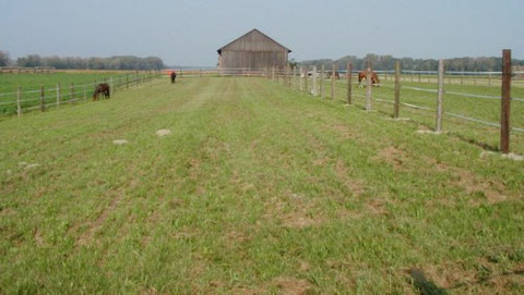 Wiesenkoppeln II & III