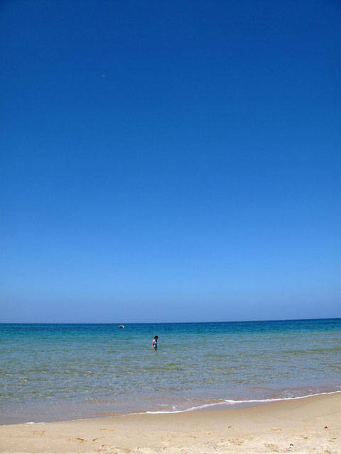 海を楽しむ妻