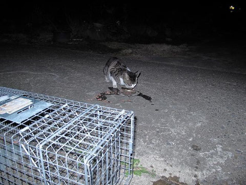 開放後、食事中