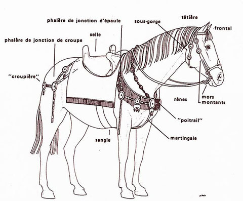 Arnachement 1 er siècle après JC